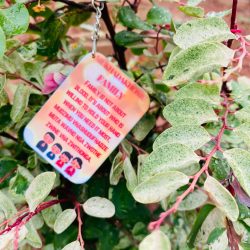 WhatsApp Image 2025-07-23 at 19.05.13